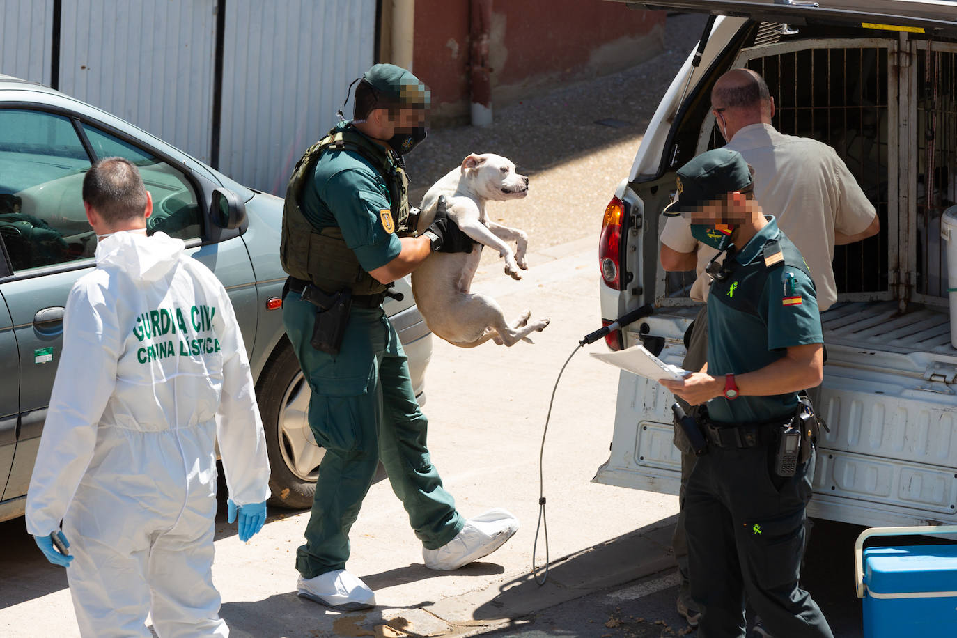 La Guardia Civil sacó ayer esposado al vecino del número 32 de la avenida de Santa Ana, investigó en el interior de la casay buscó con un perro a Javier Ovejas Abad-