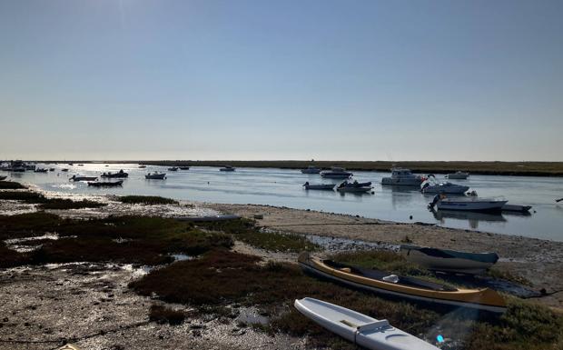 Parque Natural da Ria Formosa. 