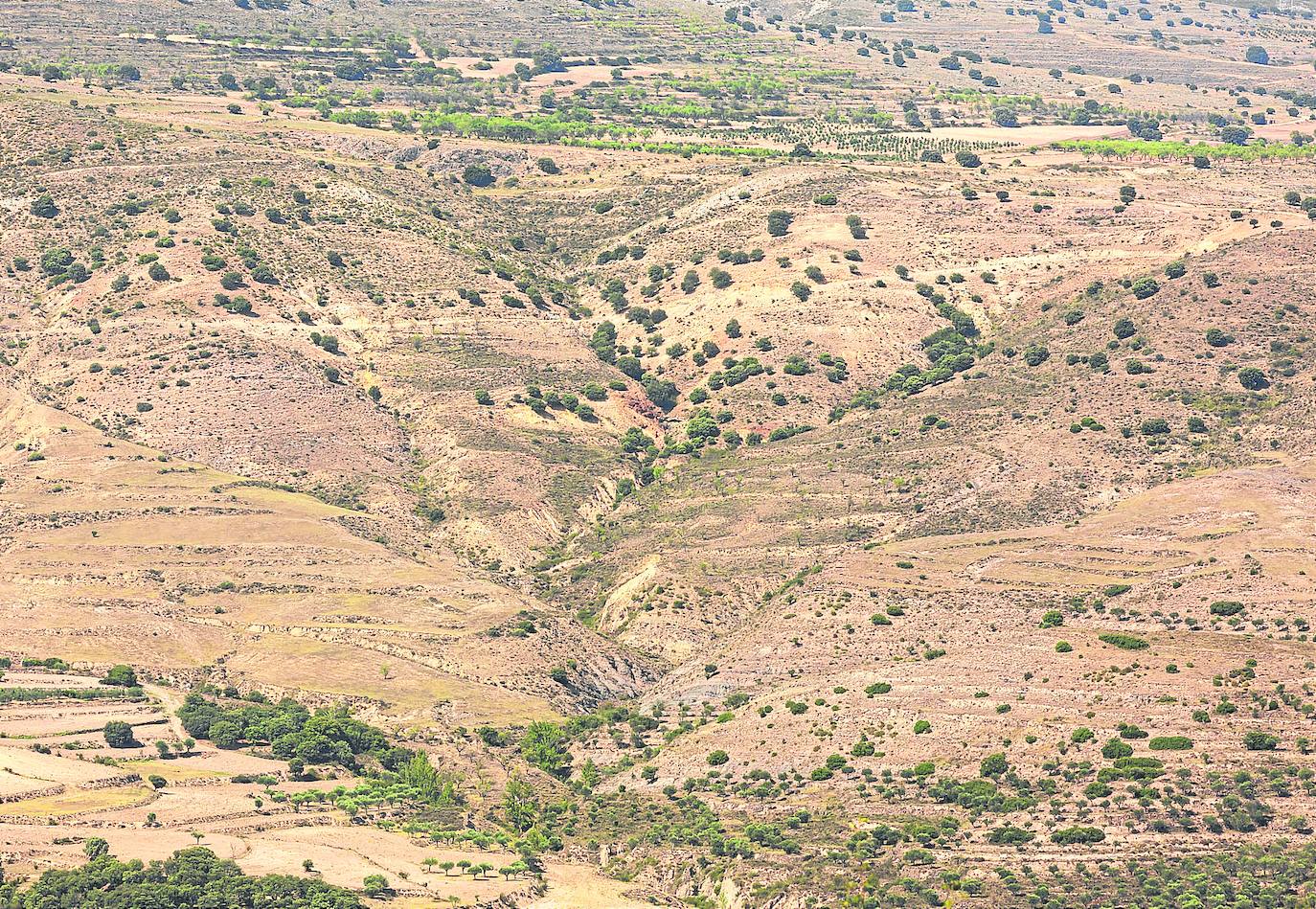 Paisaje de la sierra de la Alcarama, entre Enciso y Cornago. 