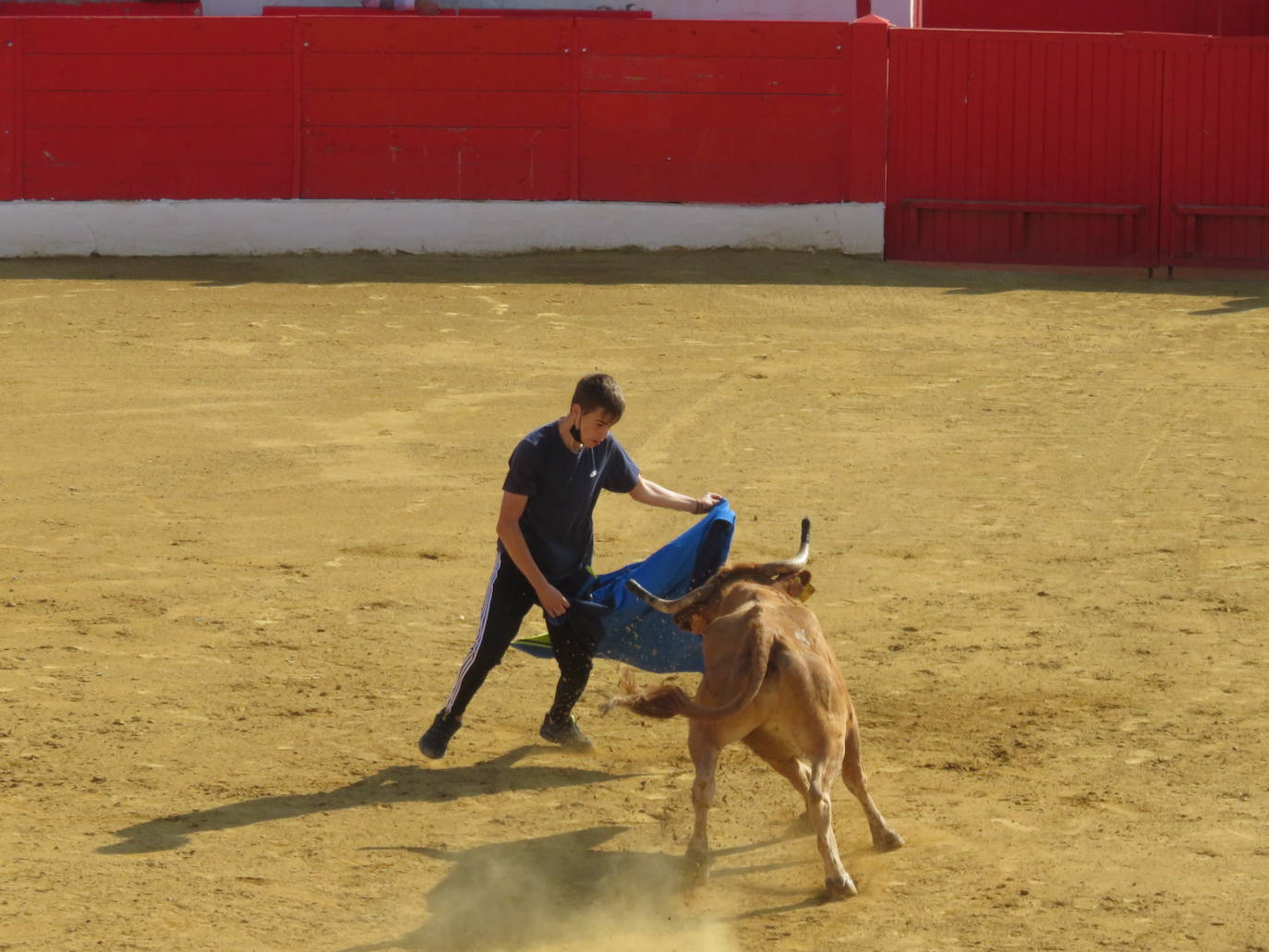 Fotos: Penúltimo día de la programación cultural &#039;Vive Alfaro&#039;