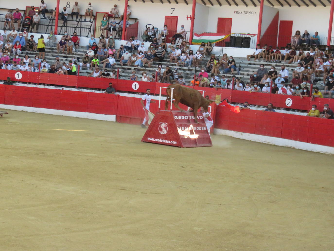 Fotos: La exhibición de bravura de las reses de Arriazu en la plaza de toros de Alfaro