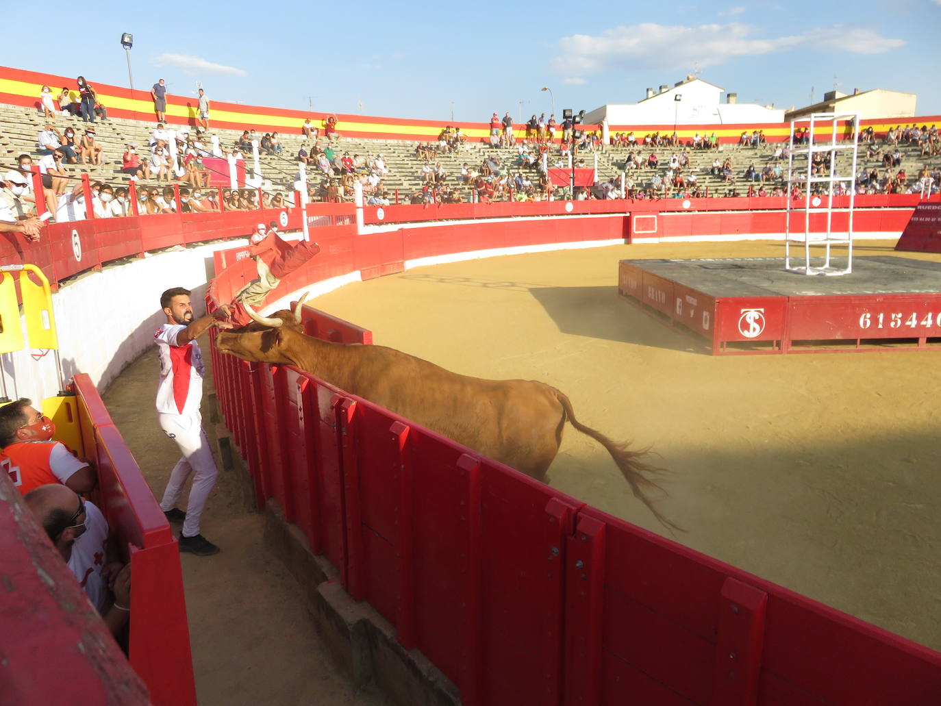 Fotos: La exhibición de bravura de las reses de Arriazu en la plaza de toros de Alfaro