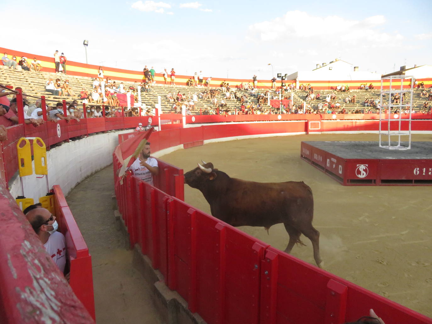 Fotos: La exhibición de bravura de las reses de Arriazu en la plaza de toros de Alfaro