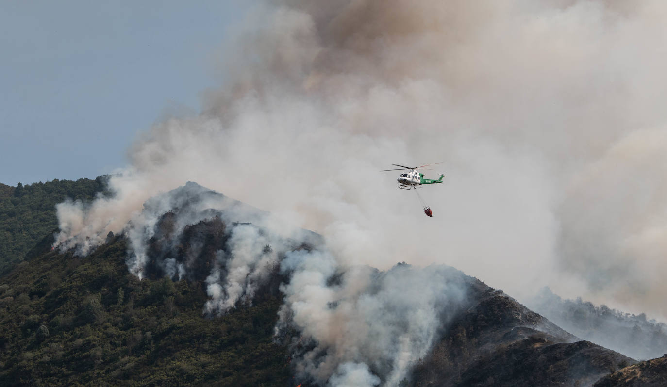 El fuego se ha originado en dos focos a las 13.30 horas de este sábado. 