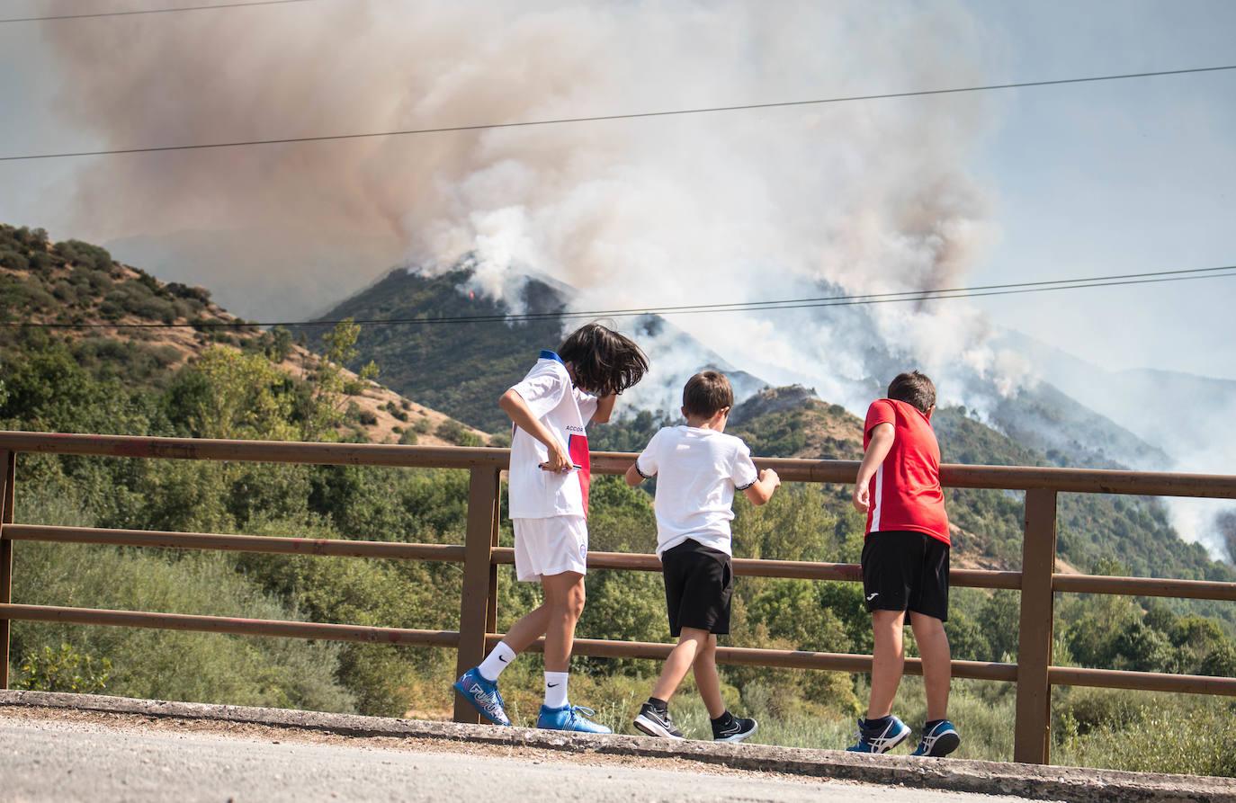 El fuego se ha originado en dos focos a las 13.30 horas de este sábado. 