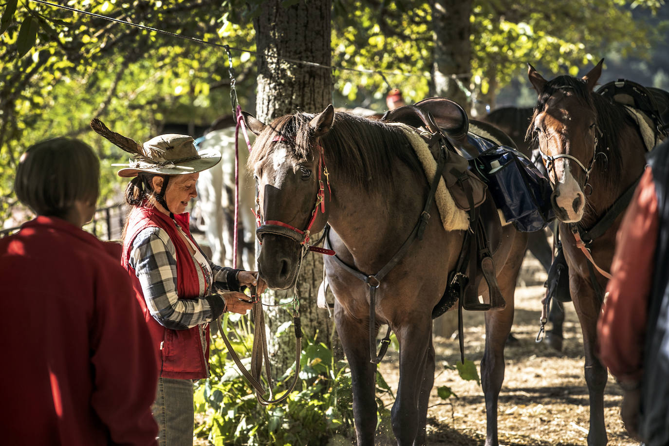 Fotos: Un tesoro por descubrir a lomos de un caballo