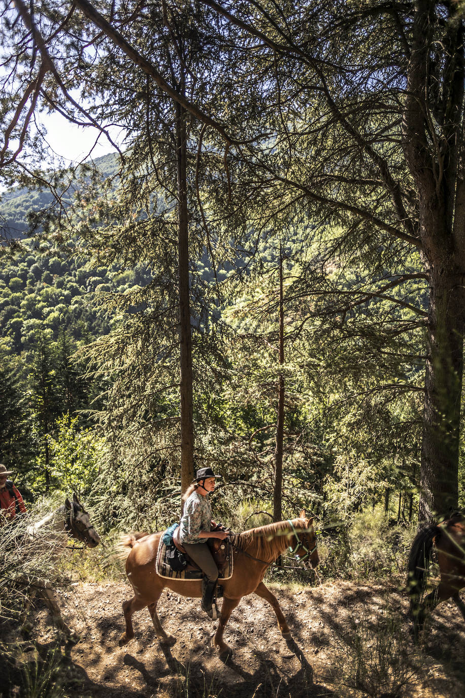 Fotos: Un tesoro por descubrir a lomos de un caballo