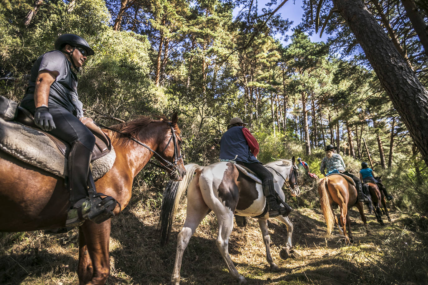 Fotos: Un tesoro por descubrir a lomos de un caballo