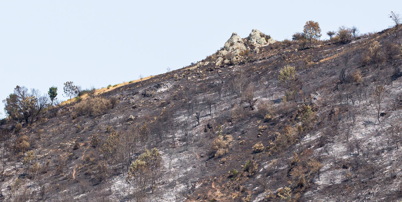 El incendio que se originó el sábado en Ezcaray ha sido declarado extinguido, aunque se mantiene la vigilancia para evitar que se reavive