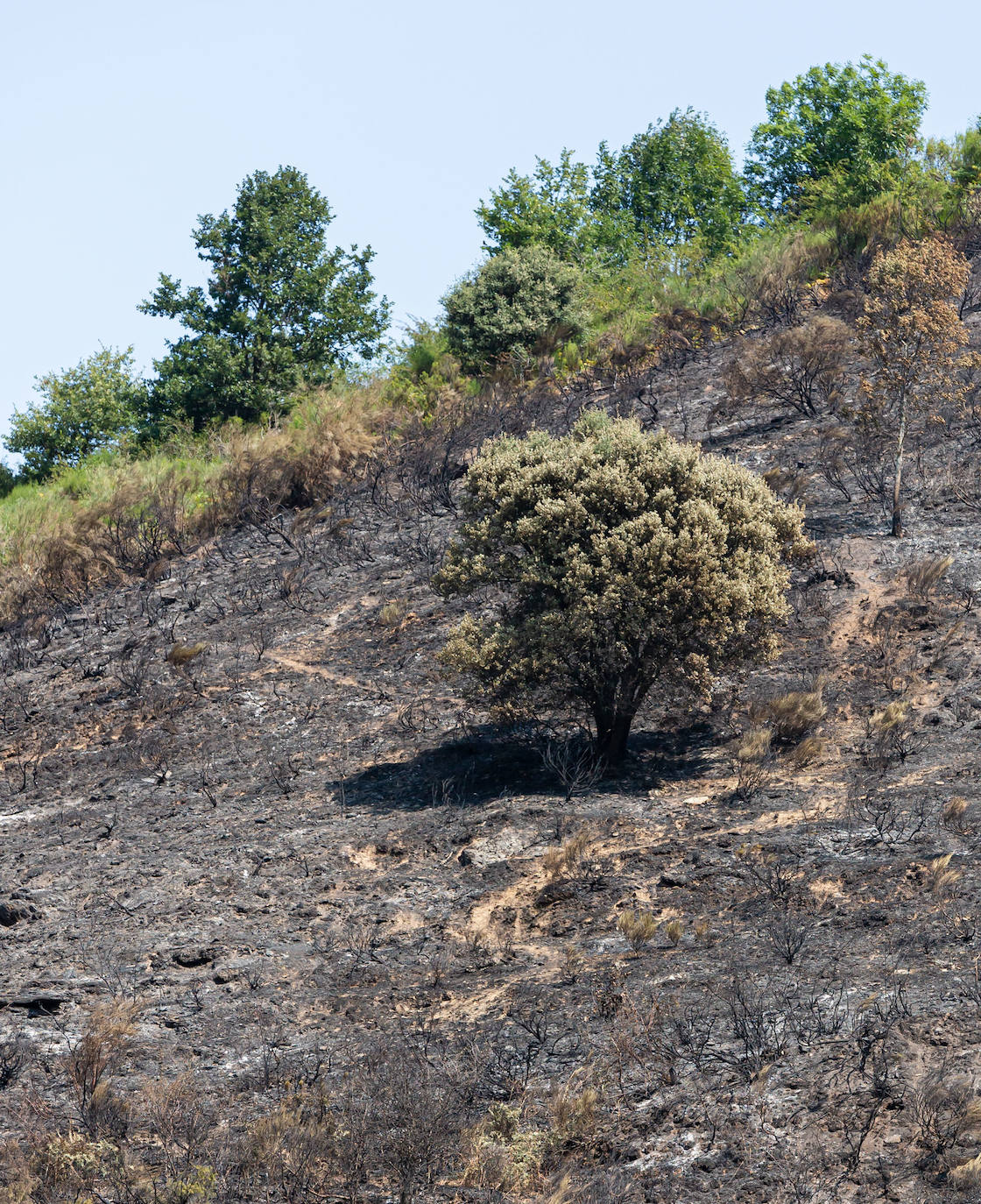 El incendio que se originó el sábado en Ezcaray ha sido declarado extinguido, aunque se mantiene la vigilancia para evitar que se reavive