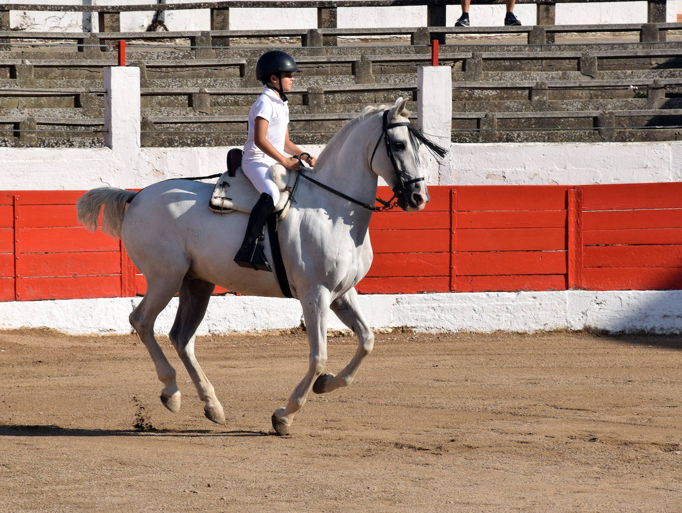 Cid de María cortó una oreja al segundo