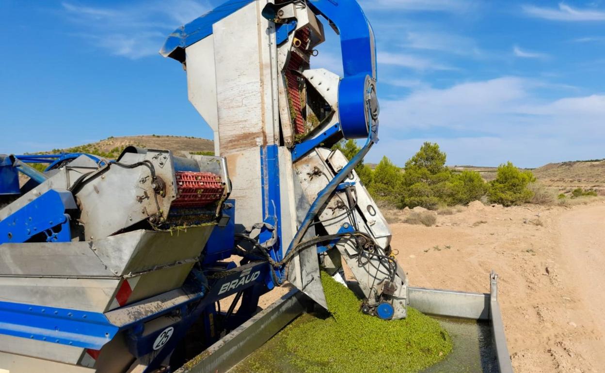 La agricultura volvió a tirar del empleo en agosto. 