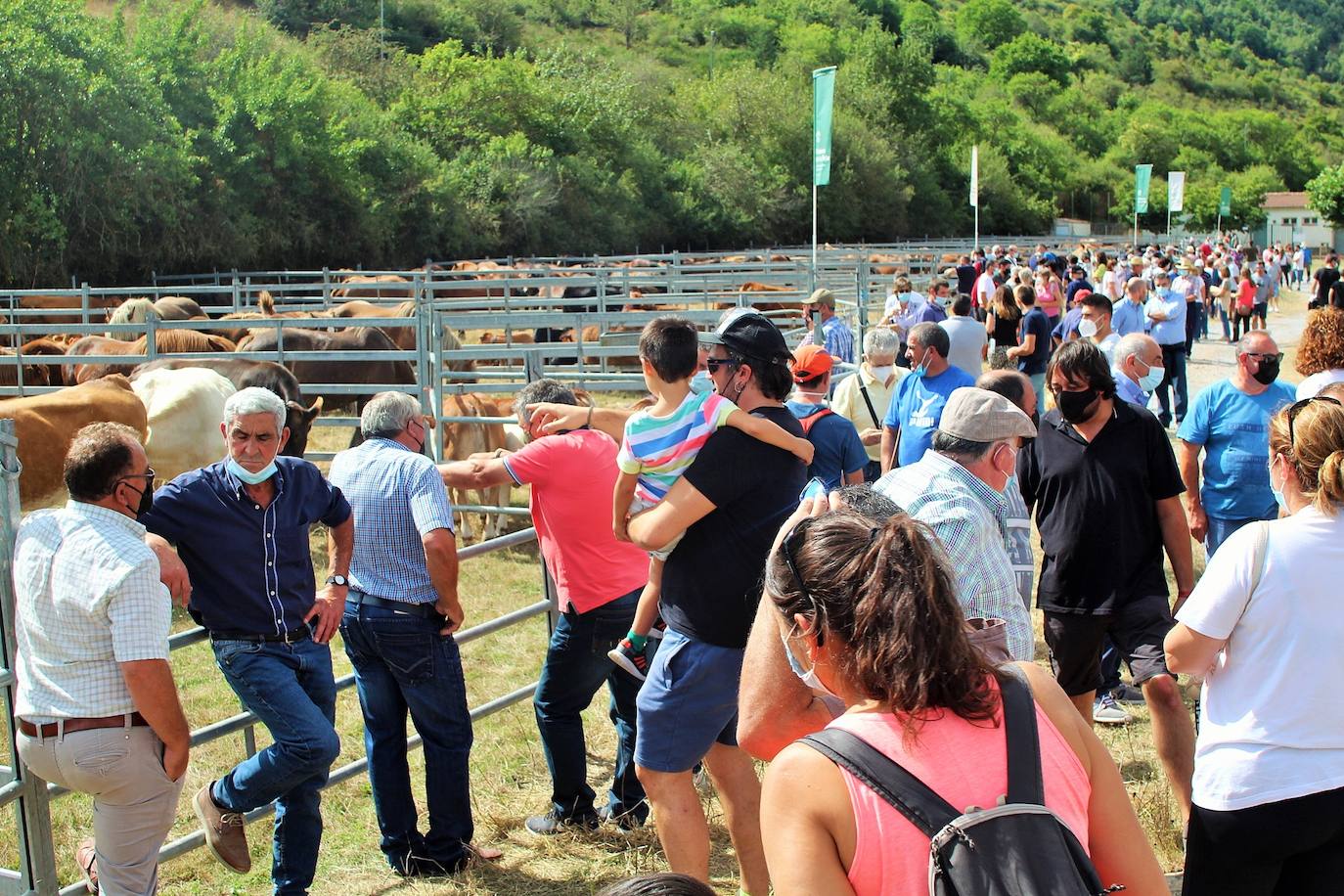 Fotos: Las imágenes de la feria ganadera de Villoslada