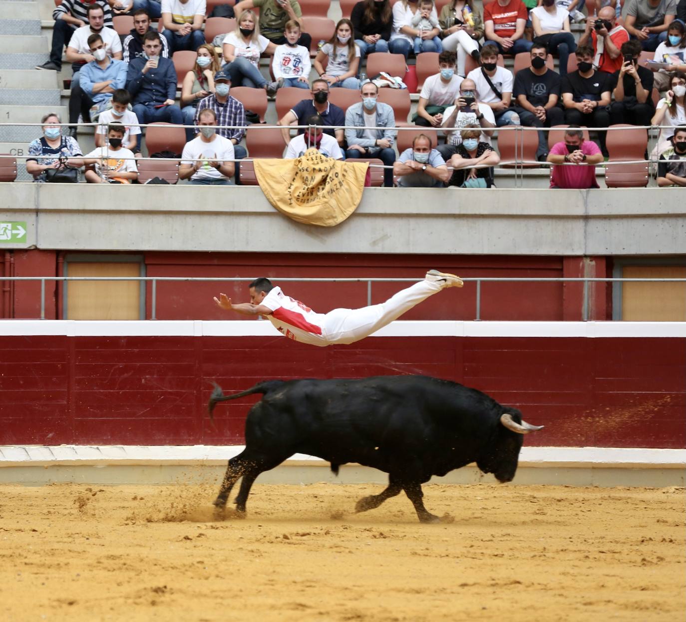 Los especialistas más prestigiosos de esta disciplina se han dado cita este sábado en La Ribera