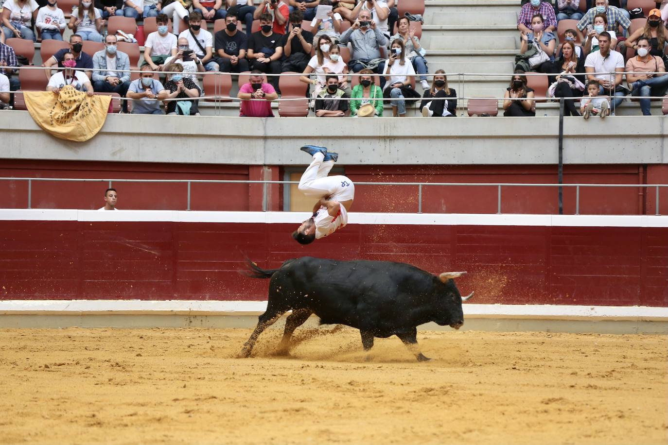 Los especialistas más prestigiosos de esta disciplina se han dado cita este sábado en La Ribera