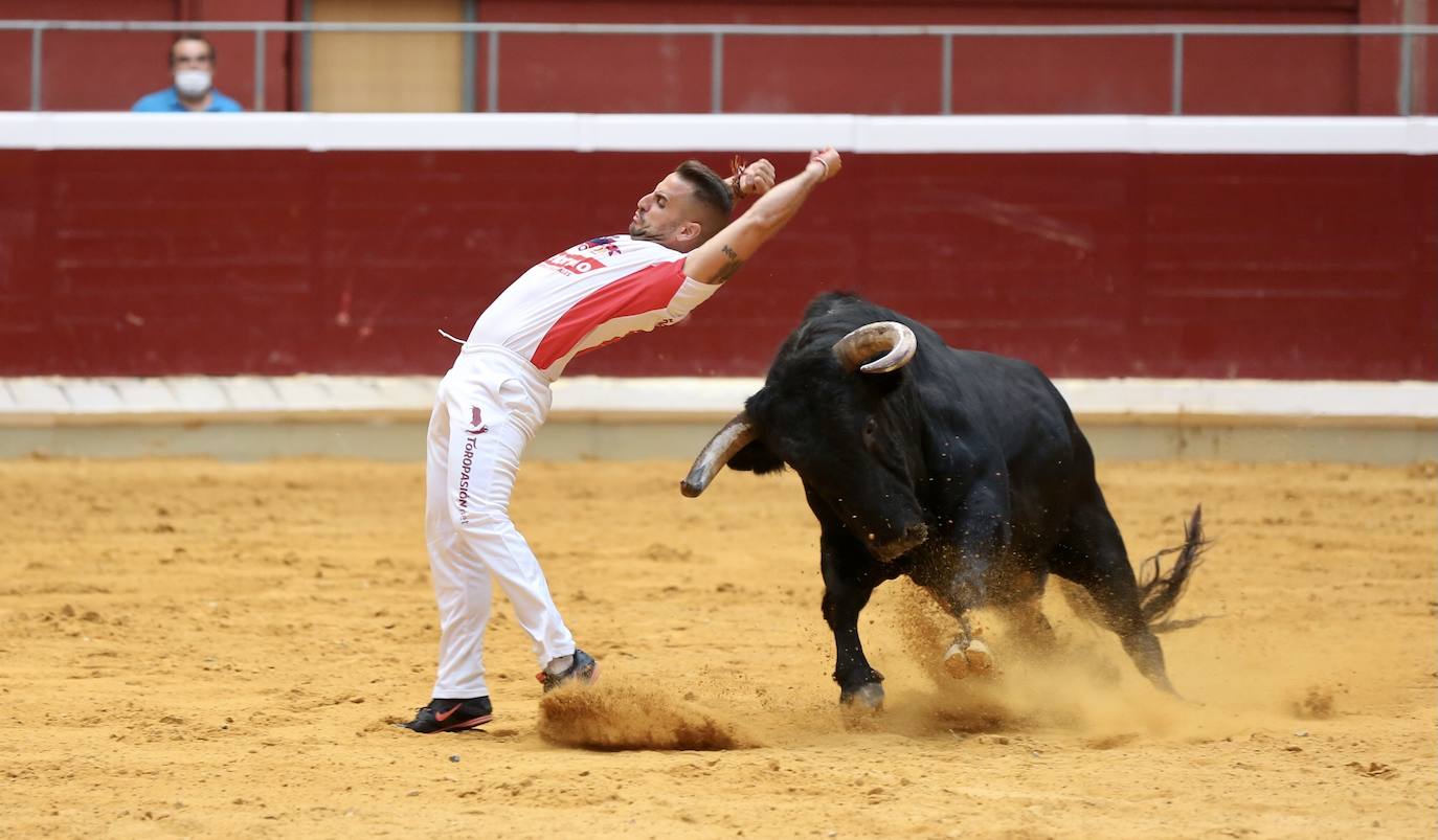 Los especialistas más prestigiosos de esta disciplina se han dado cita este sábado en La Ribera