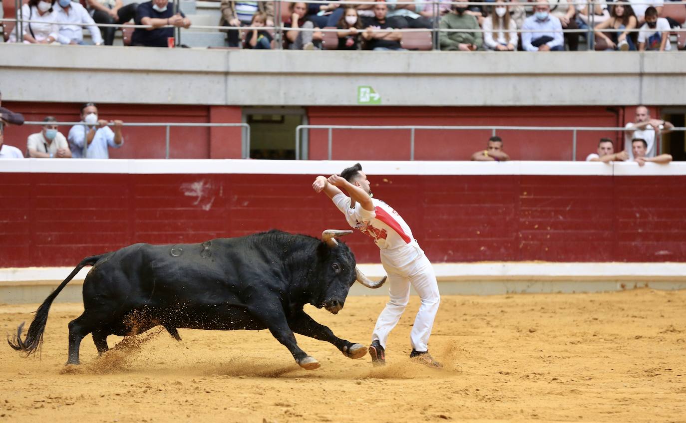 Los especialistas más prestigiosos de esta disciplina se han dado cita este sábado en La Ribera