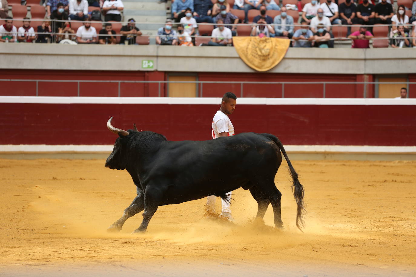 Los especialistas más prestigiosos de esta disciplina se han dado cita este sábado en La Ribera