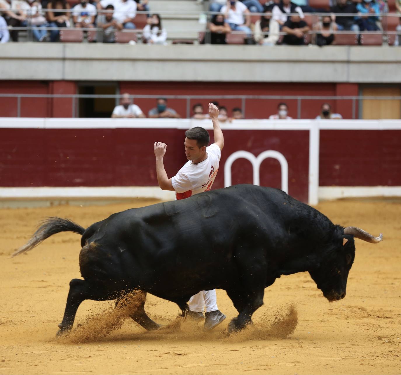 Los especialistas más prestigiosos de esta disciplina se han dado cita este sábado en La Ribera