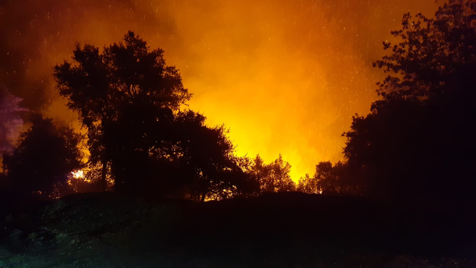 Fotos: Incendio en Sierra Bermeja