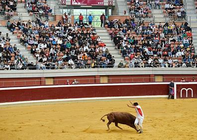 Imagen secundaria 1 - ¡Ay, que te pilla el toro!