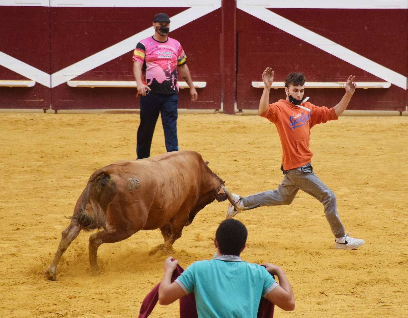 Las vaquillas regresan a Logroño en una suelta limpia y sin heridos