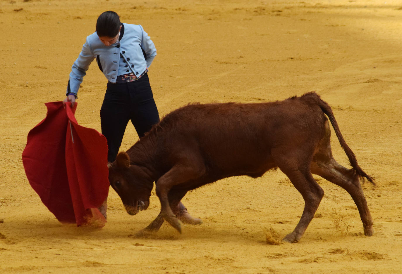 Las vaquillas regresan a Logroño en una suelta limpia y sin heridos