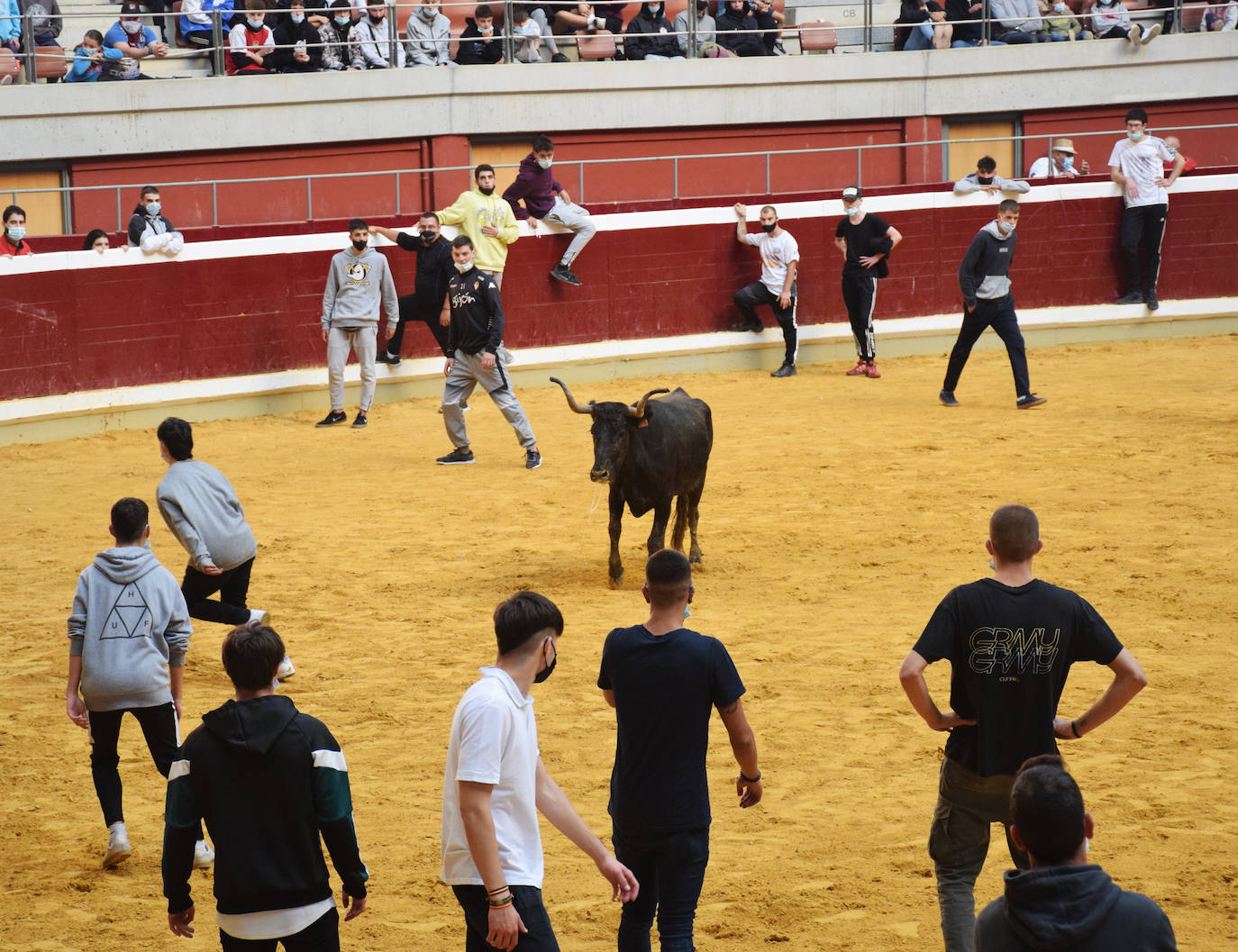 Las vaquillas regresan a Logroño en una suelta limpia y sin heridos