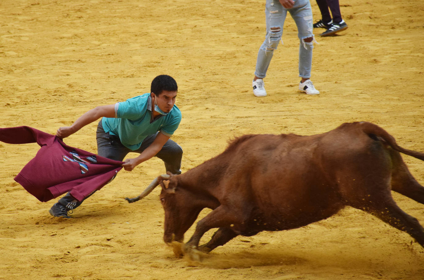 Las vaquillas regresan a Logroño en una suelta limpia y sin heridos