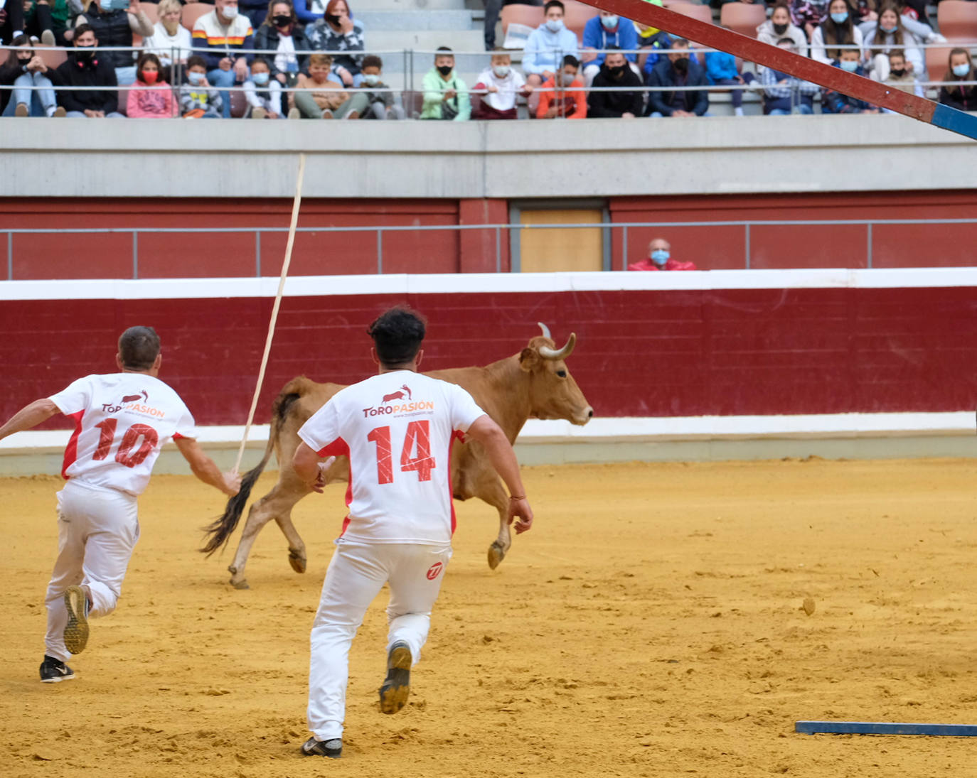 Fotos: Las vaquillas del martes en la Ribera