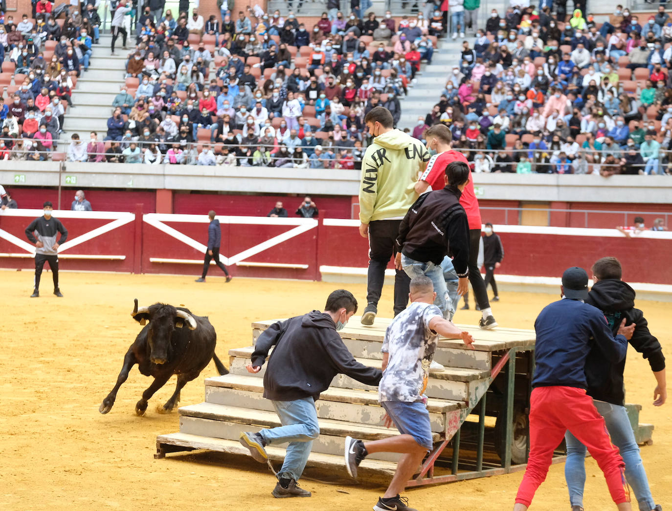 Fotos: Las vaquillas del martes en la Ribera