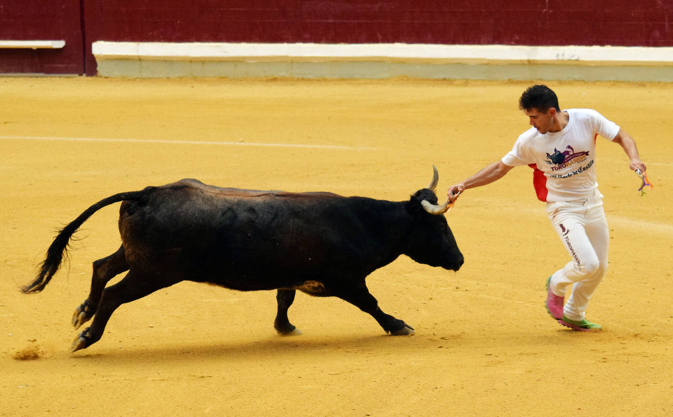 Fotos: Las vaquillas del miércoles en La Ribera