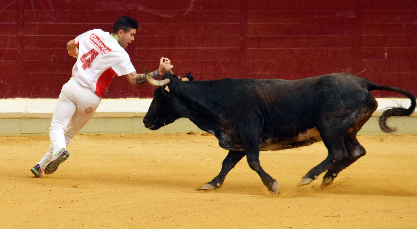 Fotos: Las vaquillas del miércoles en La Ribera