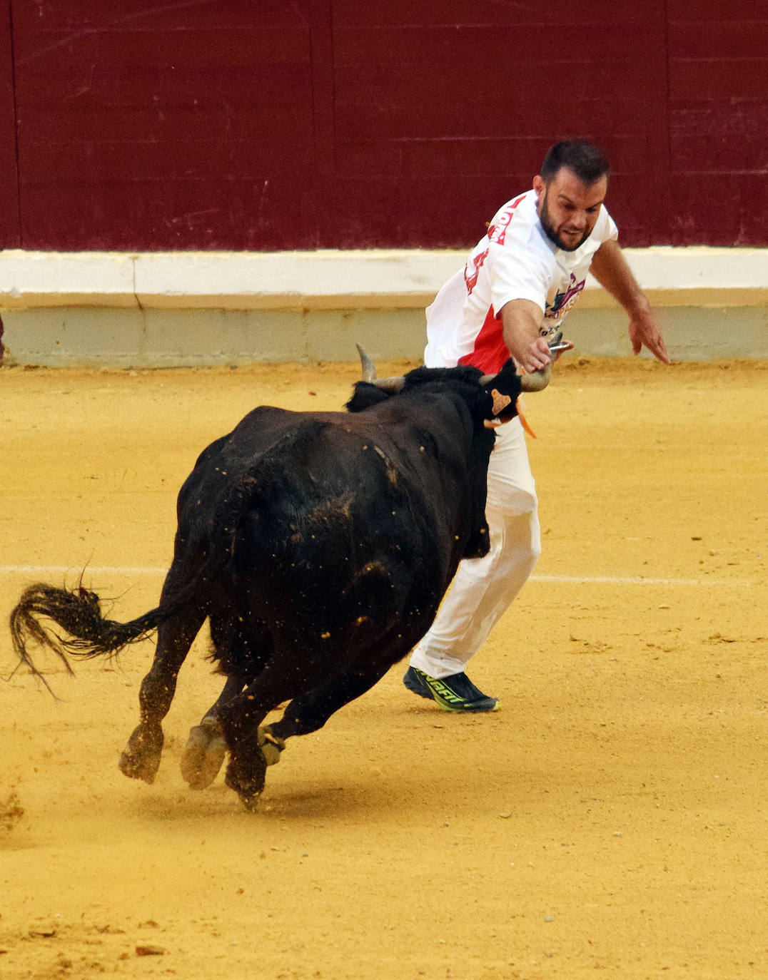 Fotos: Las vaquillas del miércoles en La Ribera