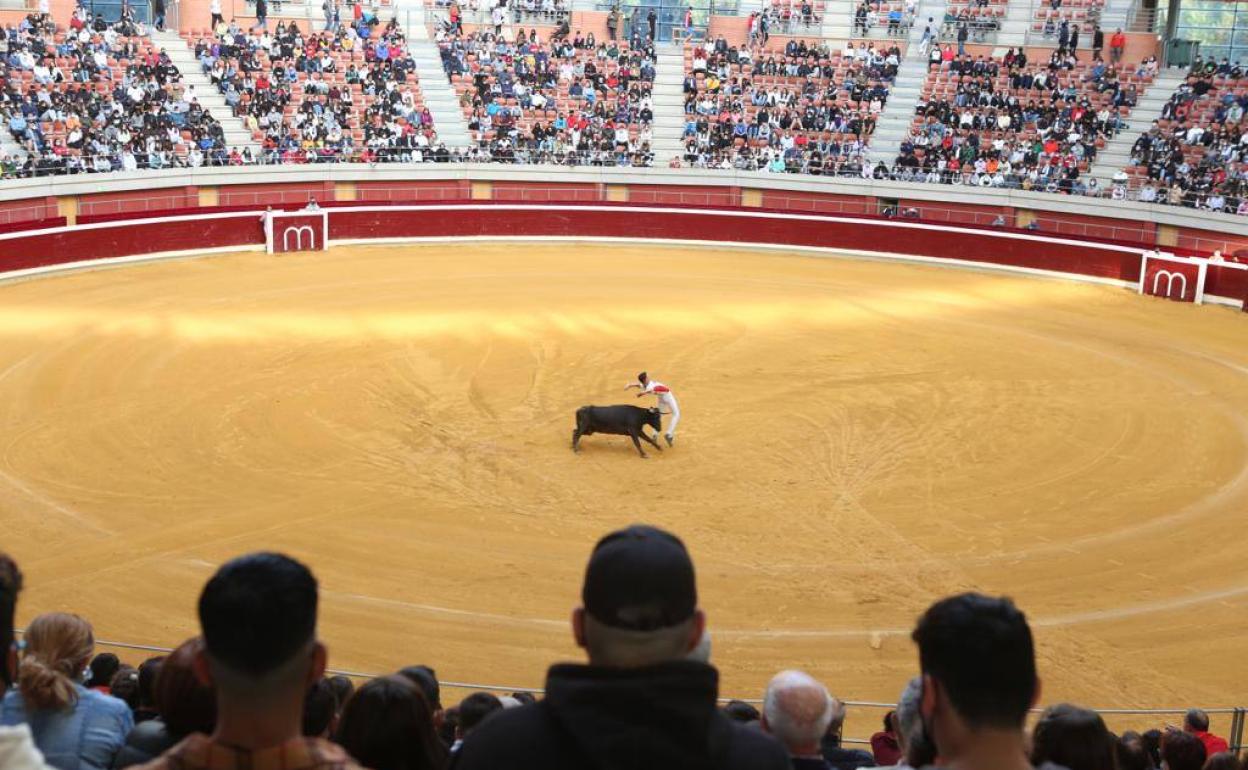 Promesas de las acrobacias en La Ribera