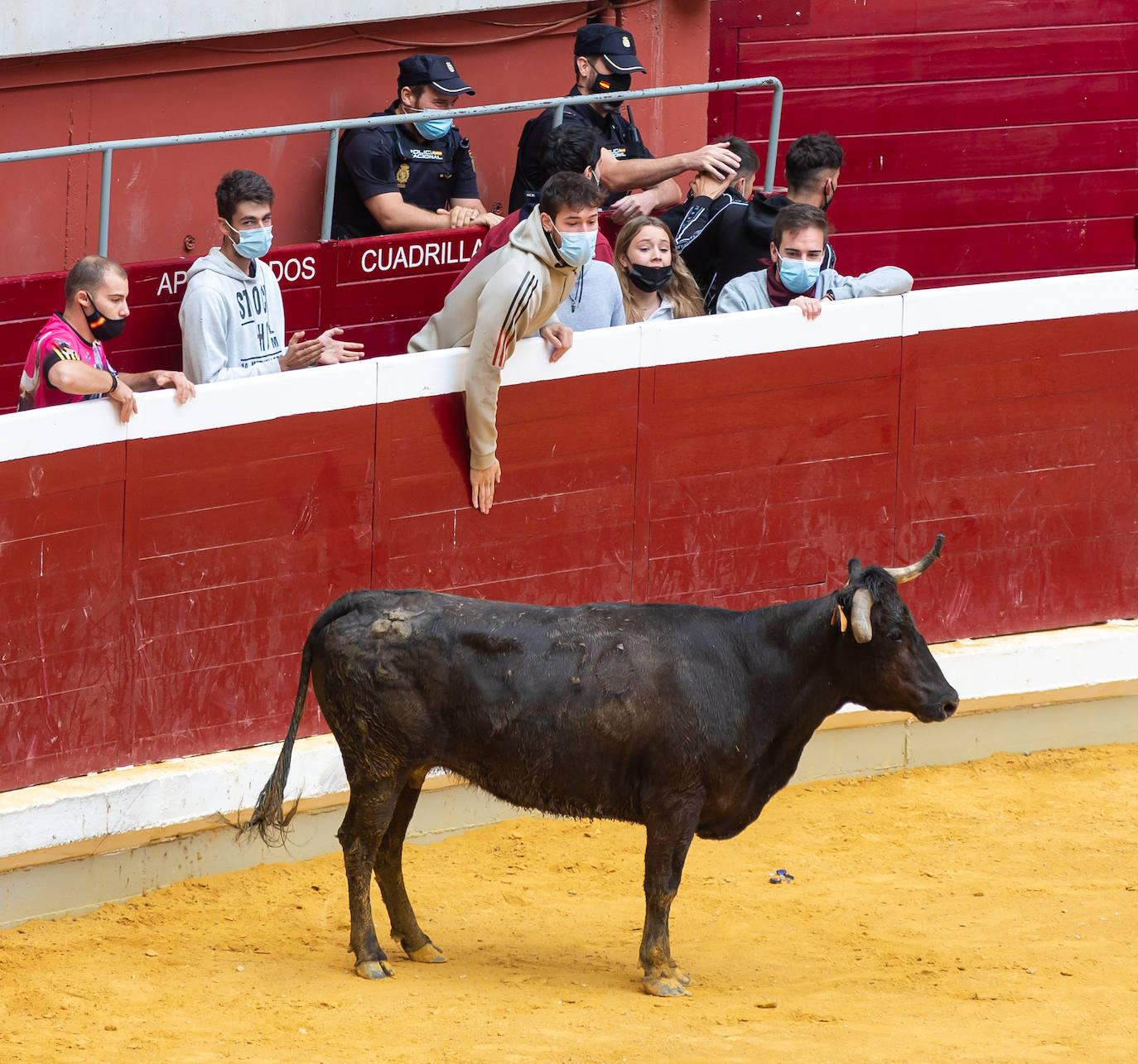 Fotos: Promesas de las acrobacias en La Ribera