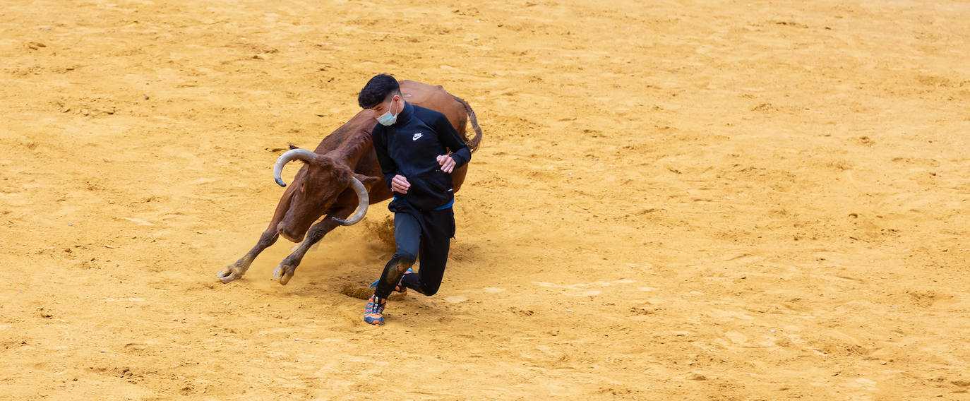 Fotos: Promesas de las acrobacias en La Ribera