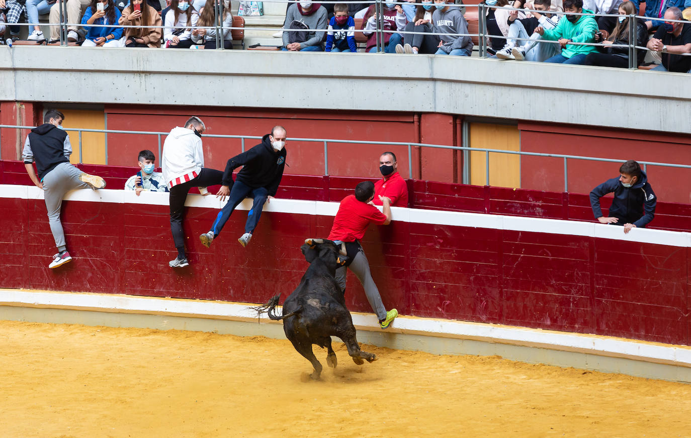 Fotos: Promesas de las acrobacias en La Ribera