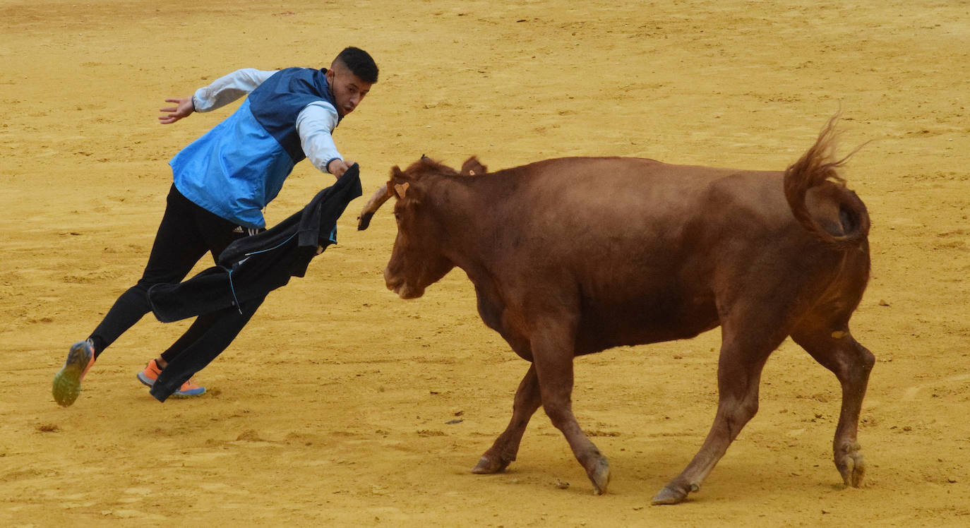 Fotos: Viernes de vaquillas en La Ribera