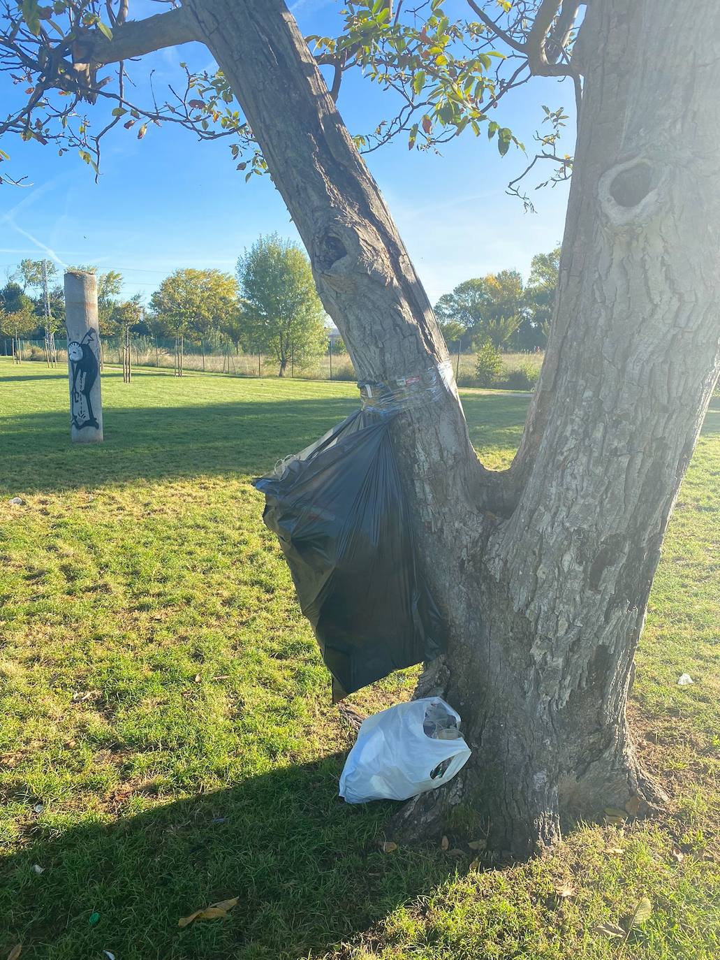 A pesar de su prohibición en el campus, las novatadas universitarias siguen siendo un hecho en el parque de La Ribera, donde los participantes abandonaron los restos de los juegos con los que 'reciben' a los universitarios. 