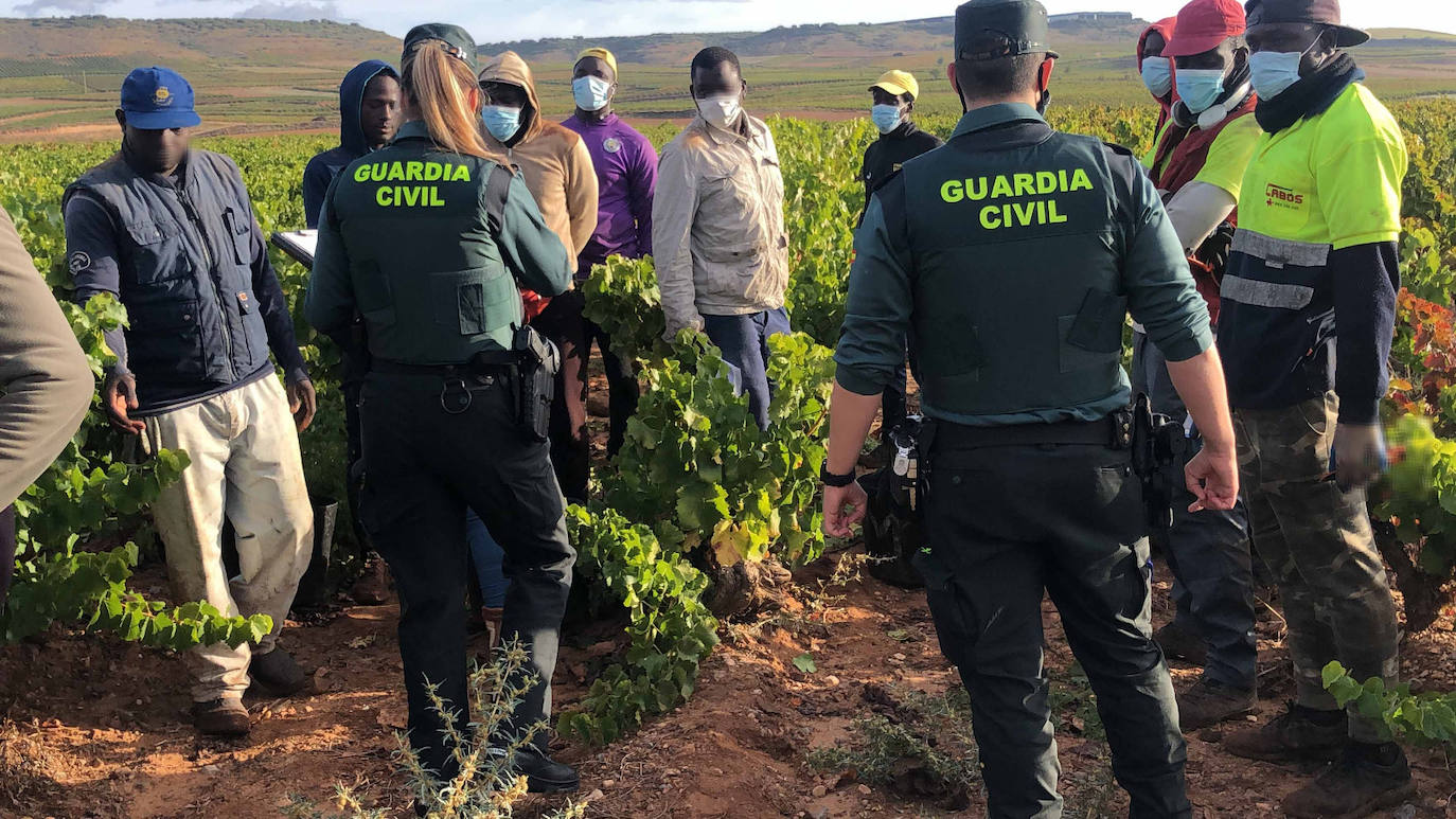 La Guardia Civil en La Rioja intensifica las actuaciones contra la explotación laboral y la trata de personas durante la vendimia.