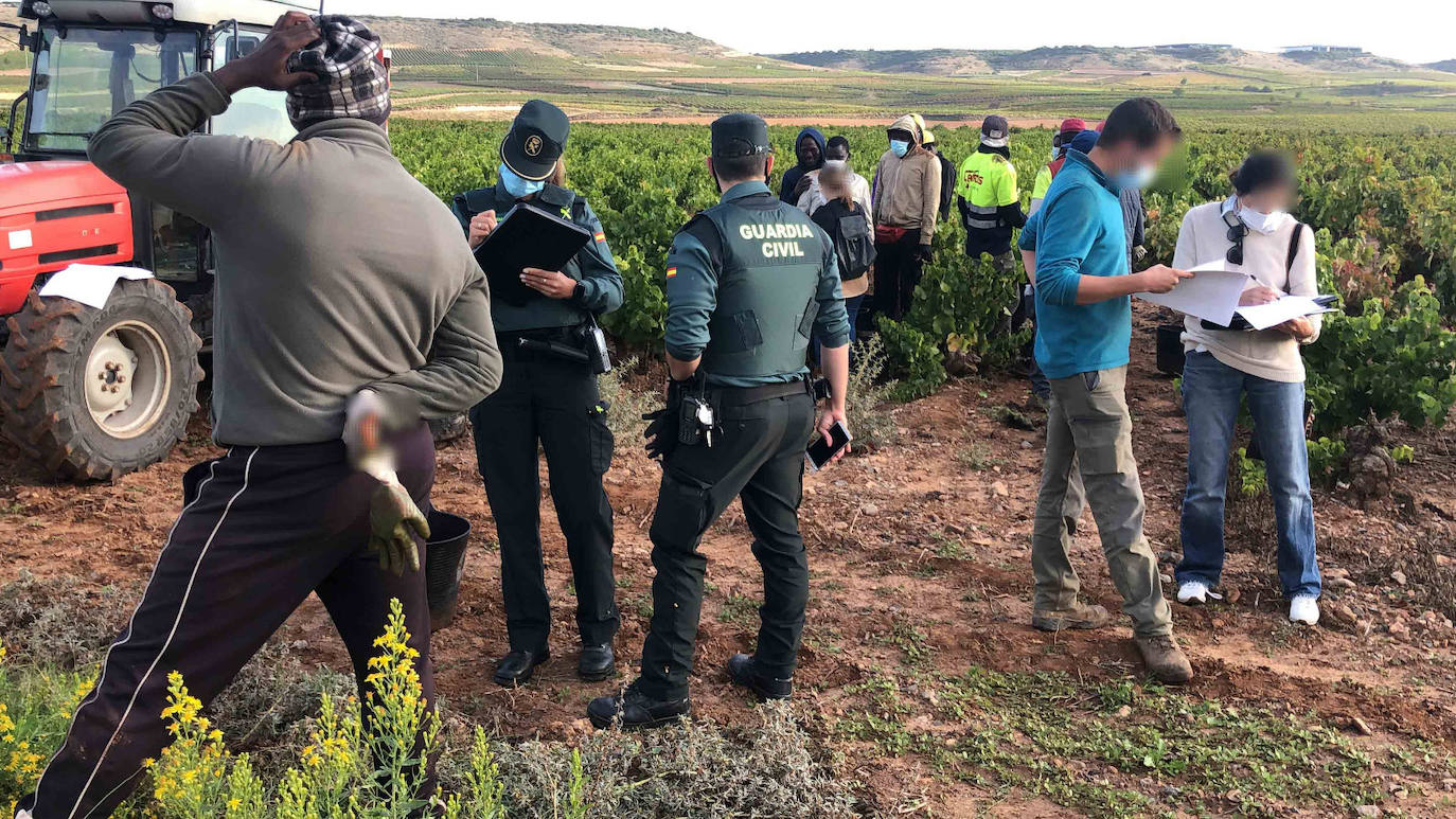 La Guardia Civil en La Rioja intensifica las actuaciones contra la explotación laboral y la trata de personas durante la vendimia.