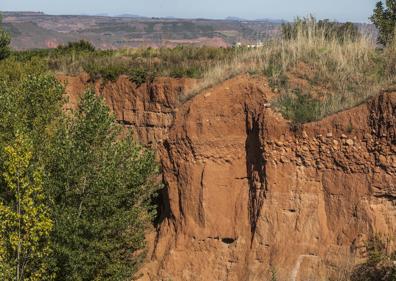 Imagen secundaria 1 - Arriba, mina a cielo abierto de Uceda, en el término de Tricio, a vista de dron. Abajo, Corte de tierra de la mina, donde ya han hecho nidos los abejarucos y la gravera, que se ha convertido en un vertedero ilegal. 