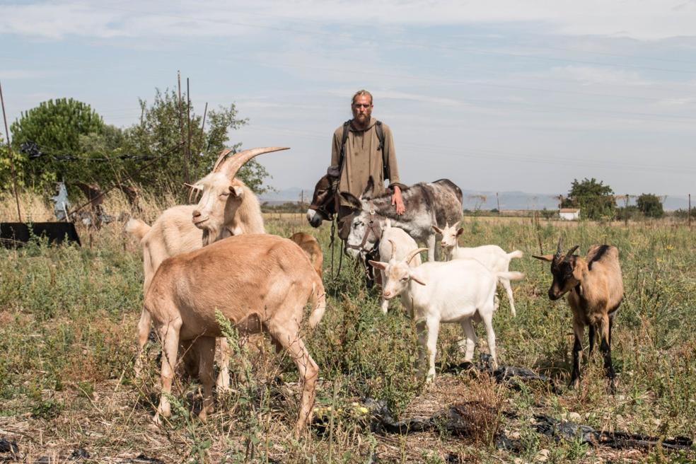 Pierre y sus animales se van por los cerros... de Guadarrama