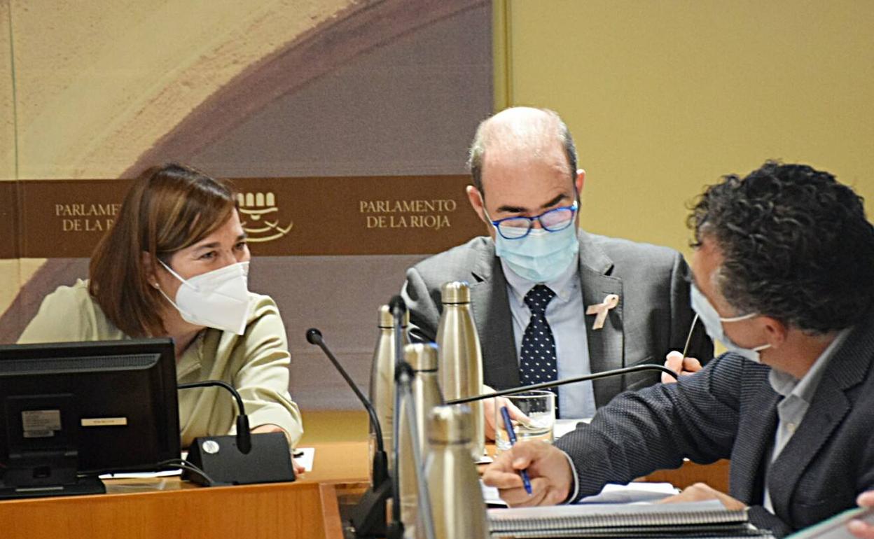 Un momento de la comparecencia de Alba en el Parlamento.