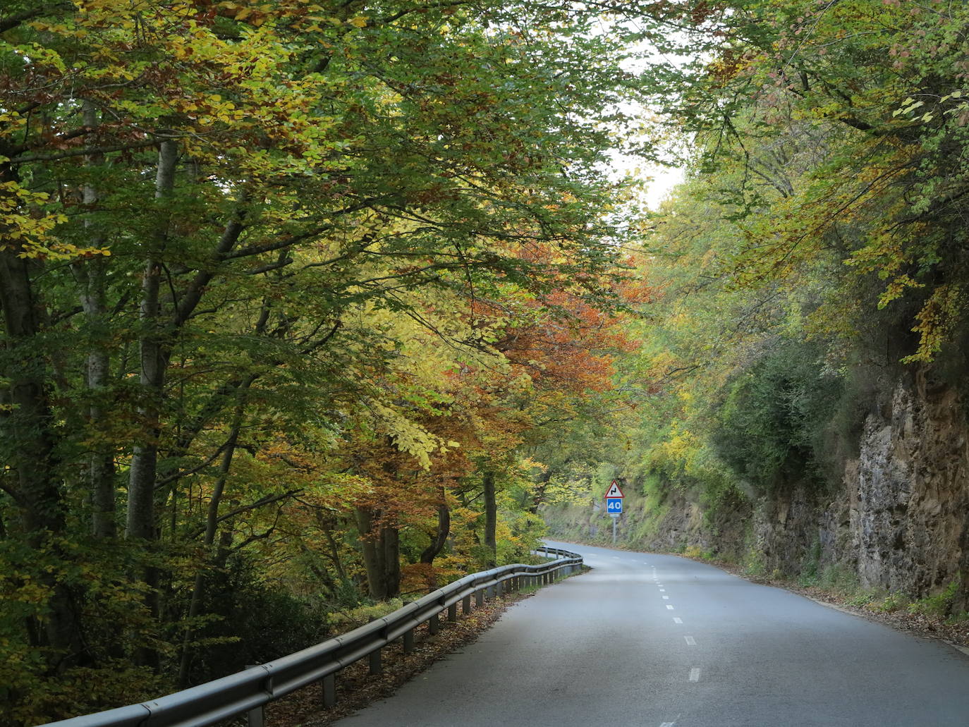 Fotos: El otoño en Los Cameros