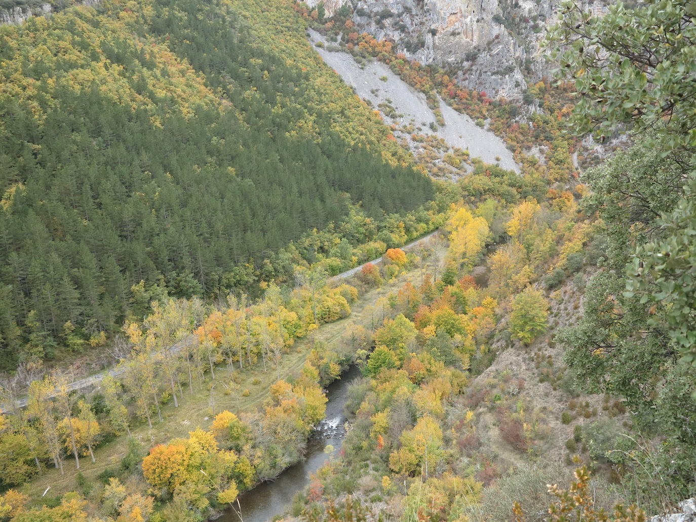 Fotos: El otoño en Los Cameros