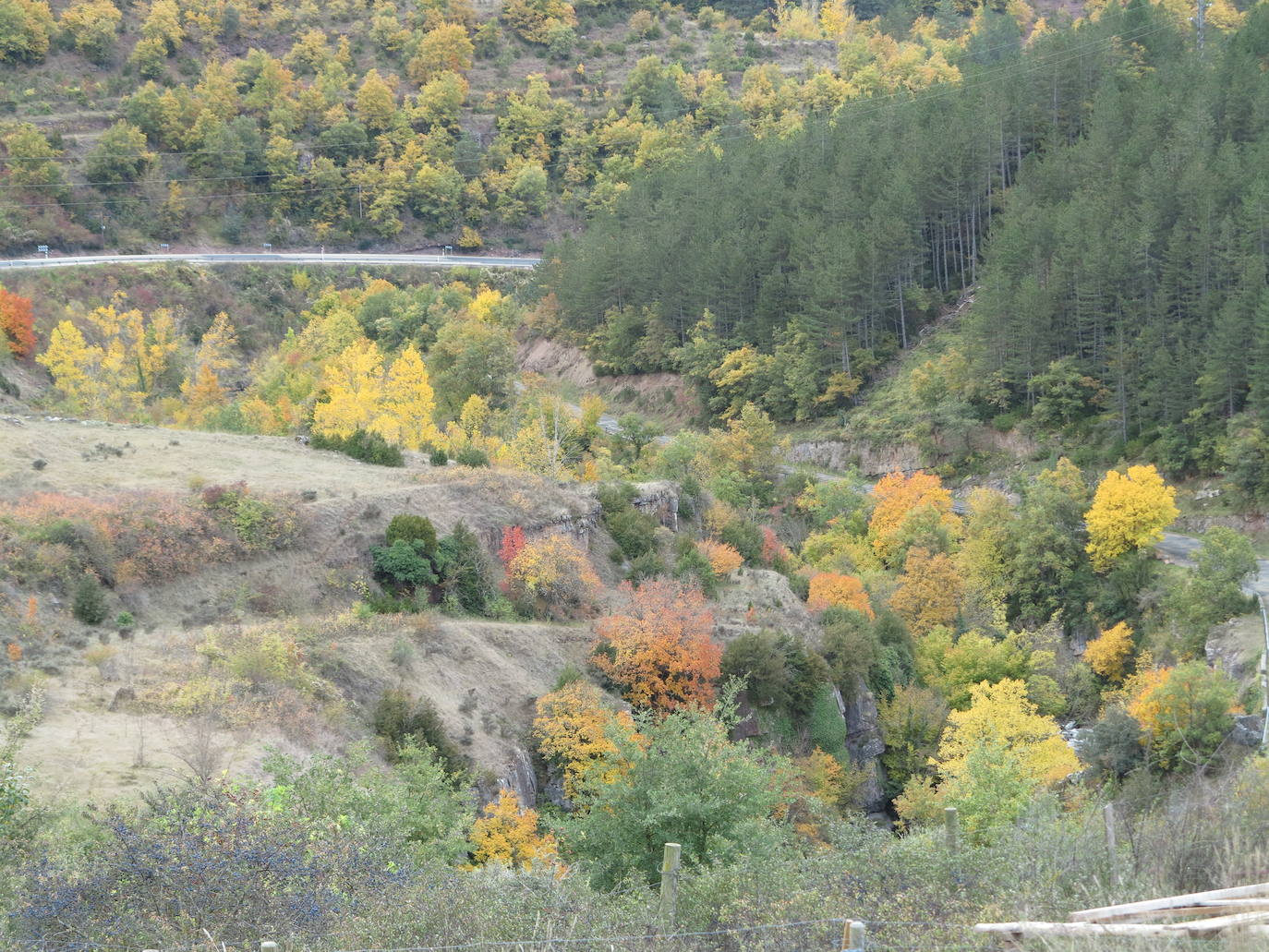 Fotos: El otoño en Los Cameros