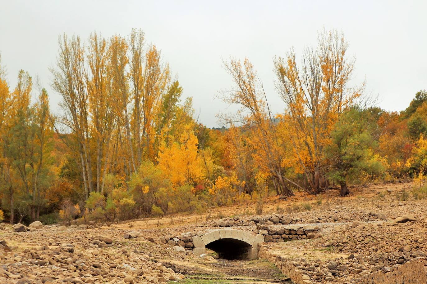 Fotos: El bajo volumen de agua del González Lacasa deja ver Los Molinos