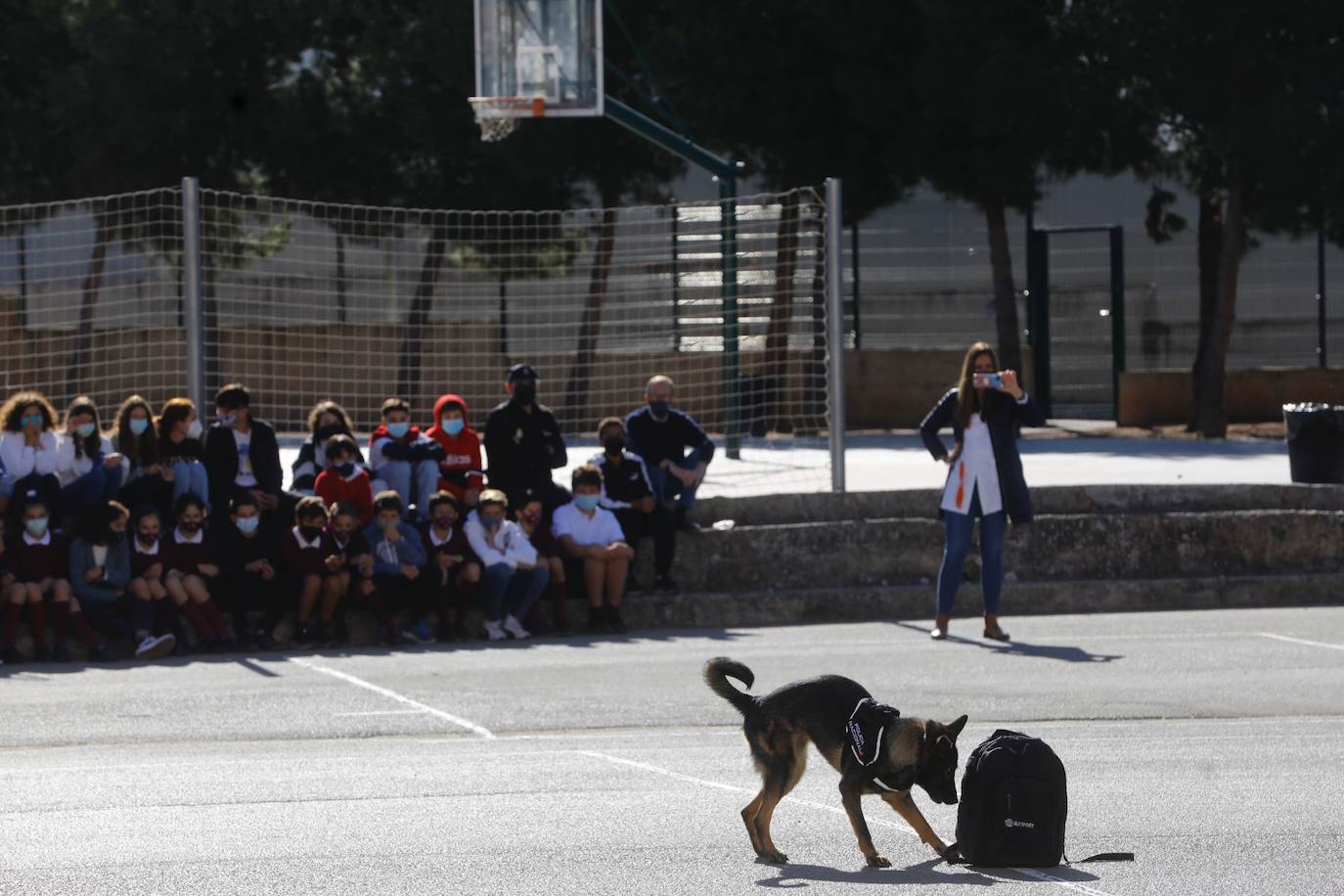 La Policía Nacional ha entregado el carné de 'ciberexpert@' a 49 estudiantes del colegio Marianistas de Logroño. Después, ha habido una exhibición operativa de diferentes Unidades del Cuerpo Nacional de Policía.